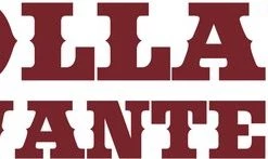 Anna Oppolzer Dollars Wanted Kaartspel - Huch! -Exporteren spellen-voor winkel 550x147