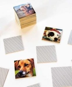 Remember - Remember Memory Spel Dogs -Exporteren spellen-voor winkel 550x316