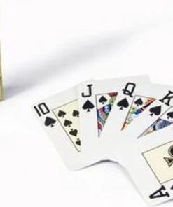 Luxe Pokerset 300 Chips (14 Gram) Plastic Pokerkaarten Houten Koffer Copag - Cartamundi 23 Luxe Pokerset 300 Chips (14 Gram) Plastic Pokerkaarten Houten Koffer Copag - Cartamundi -Exporteren spellen-voor winkel 550x325 3