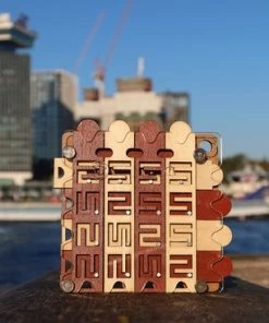 Hidden Corridor - Breinbreker - Recent Toys - Jean Claud Constantin -Exporteren spellen-voor winkel 550x366 37