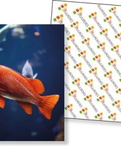 Huurdies Cadeautip! Vissen Memory - Vissen- Memory Spel - 70 Stuks - Schoencadeautjes Sinterklaas 8 Huurdies Cadeautip! Vissen Memory - Vissen- Memory Spel - 70 Stuks - Schoencadeautjes Sinterklaas -Exporteren spellen-voor winkel 550x383