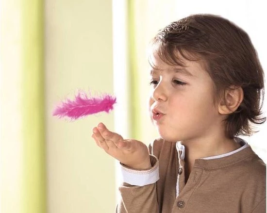 Haba Spel - Vliegende Veren 301880 4 Haba Spel - Vliegende Veren 301880 - Afbeelding 2