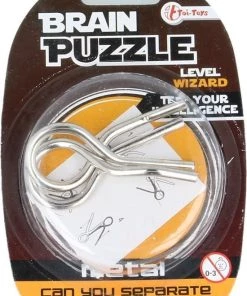 Toi-Toys Toi Toys Brain Puzzel Metaal 13 Toi-Toys Toi Toys Brain Puzzel Metaal -Exporteren spellen-voor winkel 550x815 1
